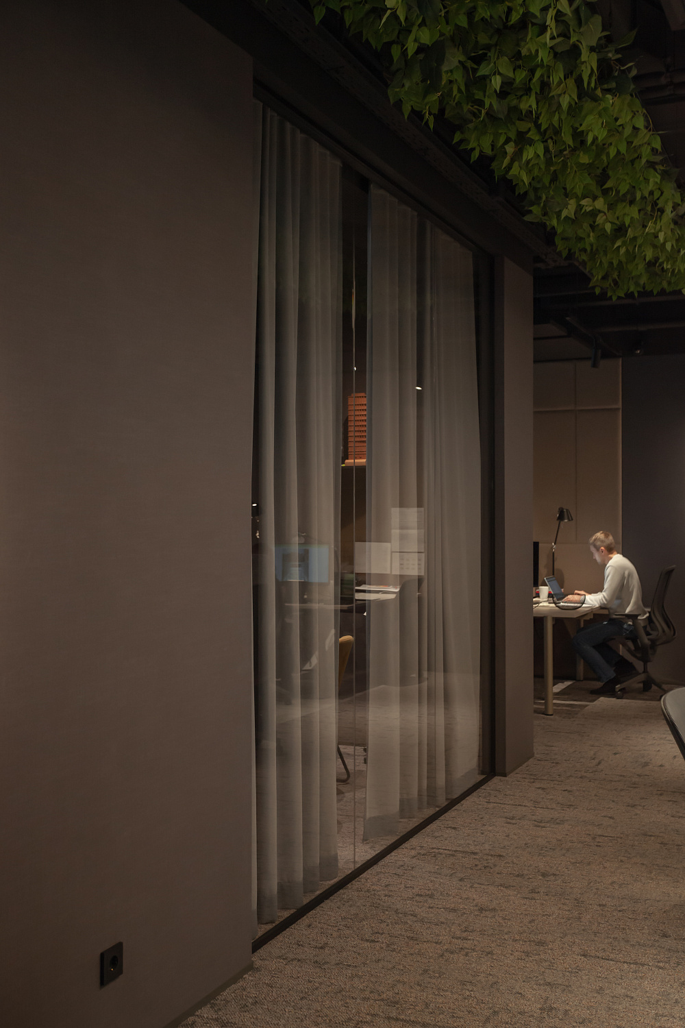 3707_23  Брусника