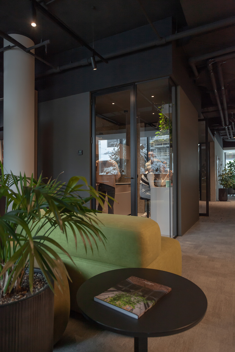 3707_23  Брусника