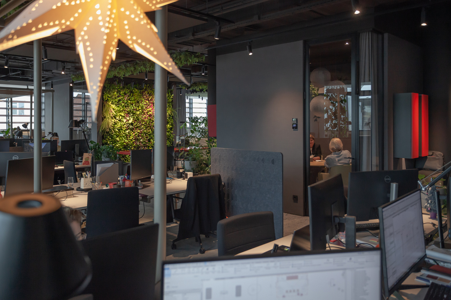 3707_23  Брусника