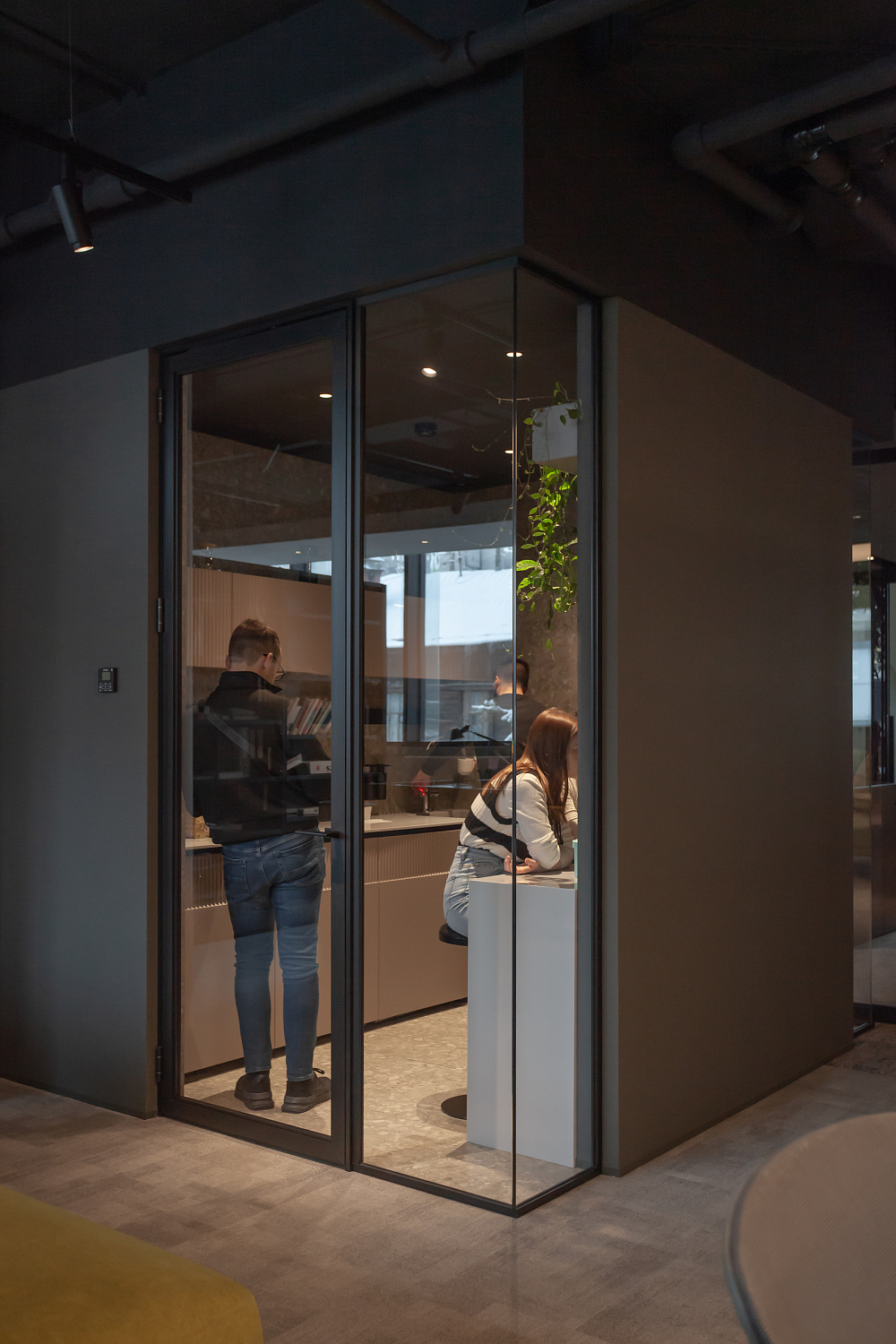 3707_23  Брусника