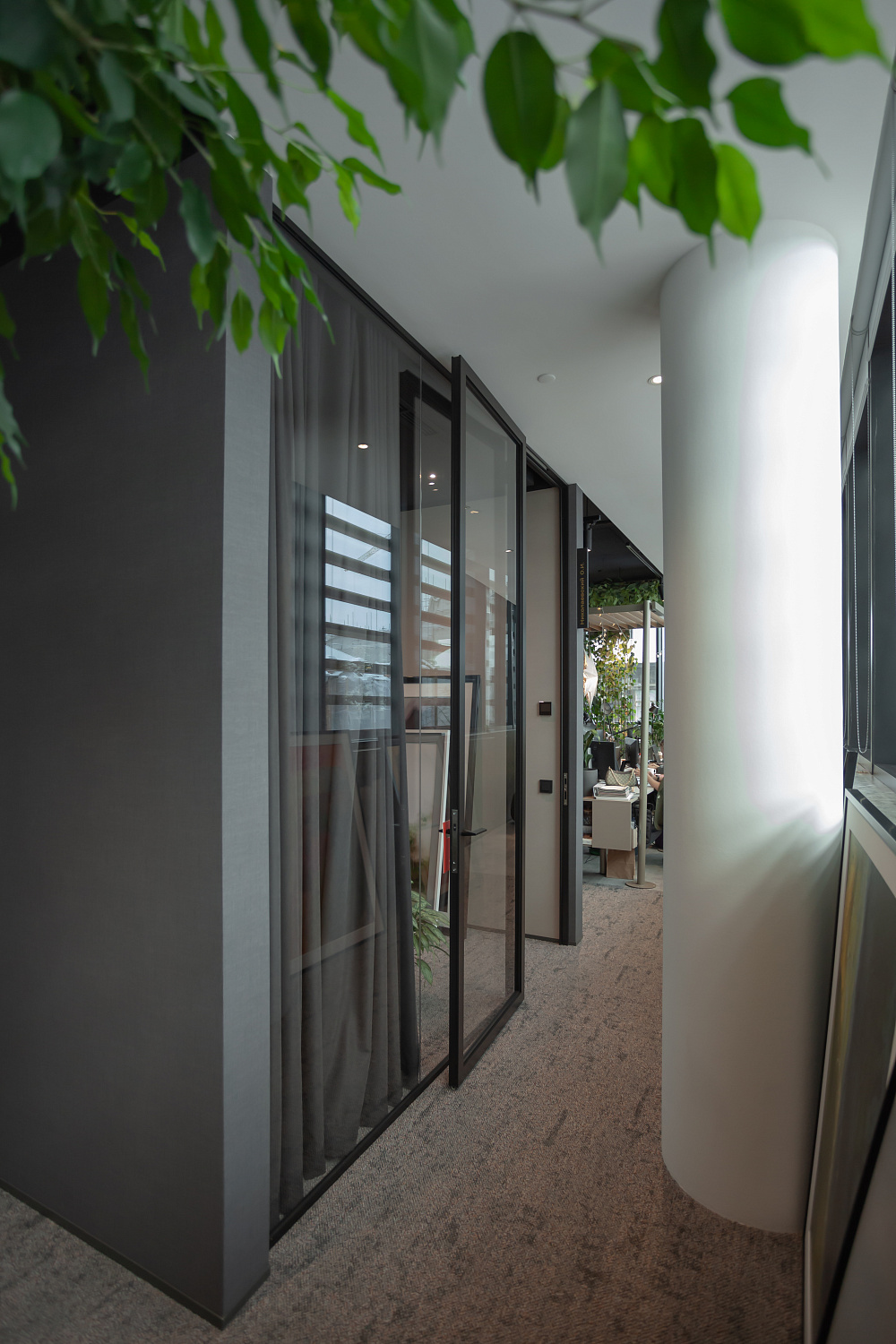 3707_23  Брусника