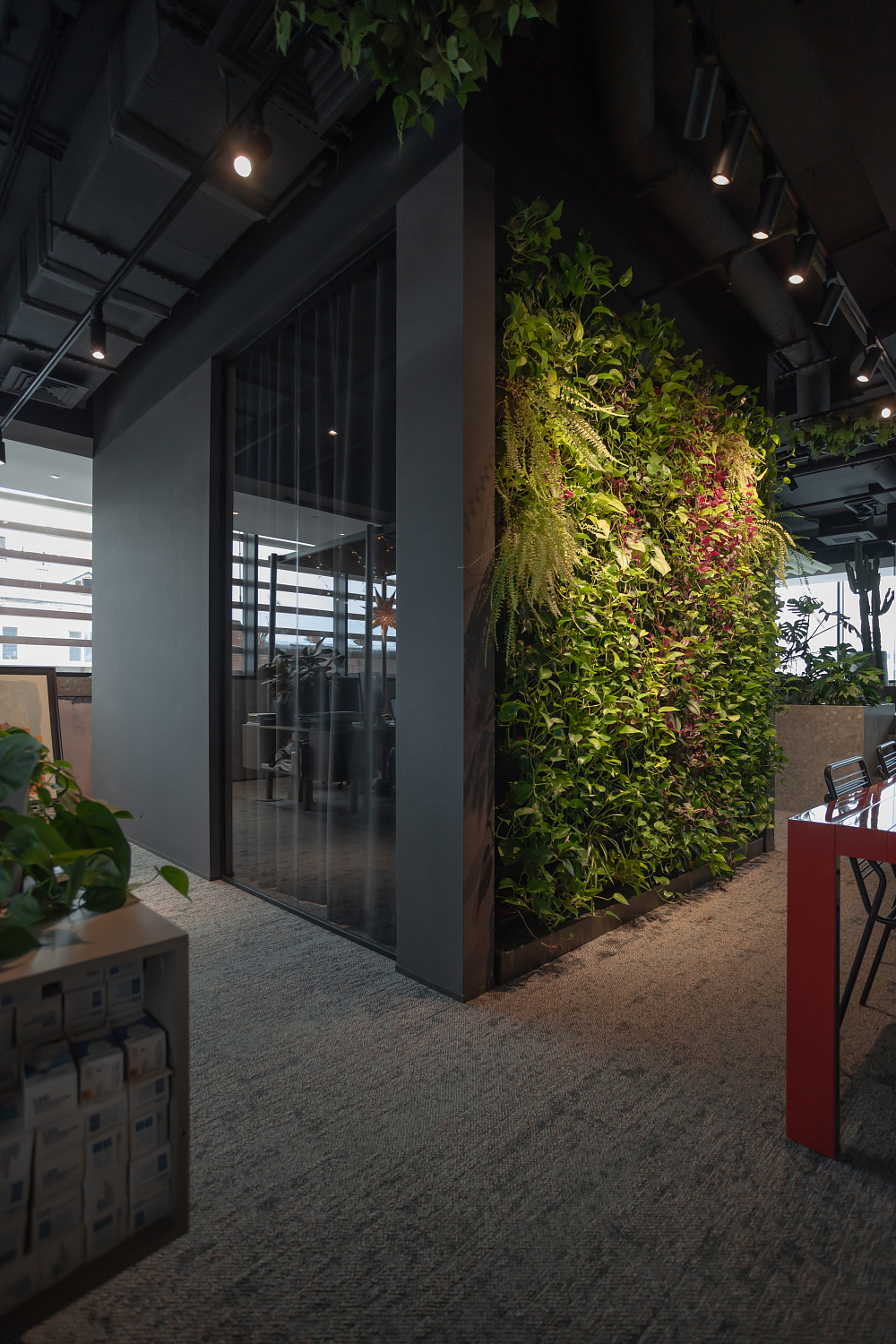 3707_23  Брусника