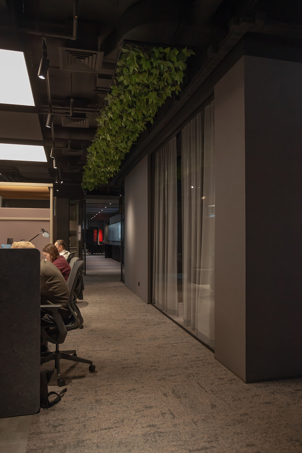 3707_23  Брусника